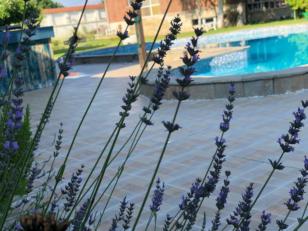 Galeria In The Garden Hotell Plovdiv Exteriör bild